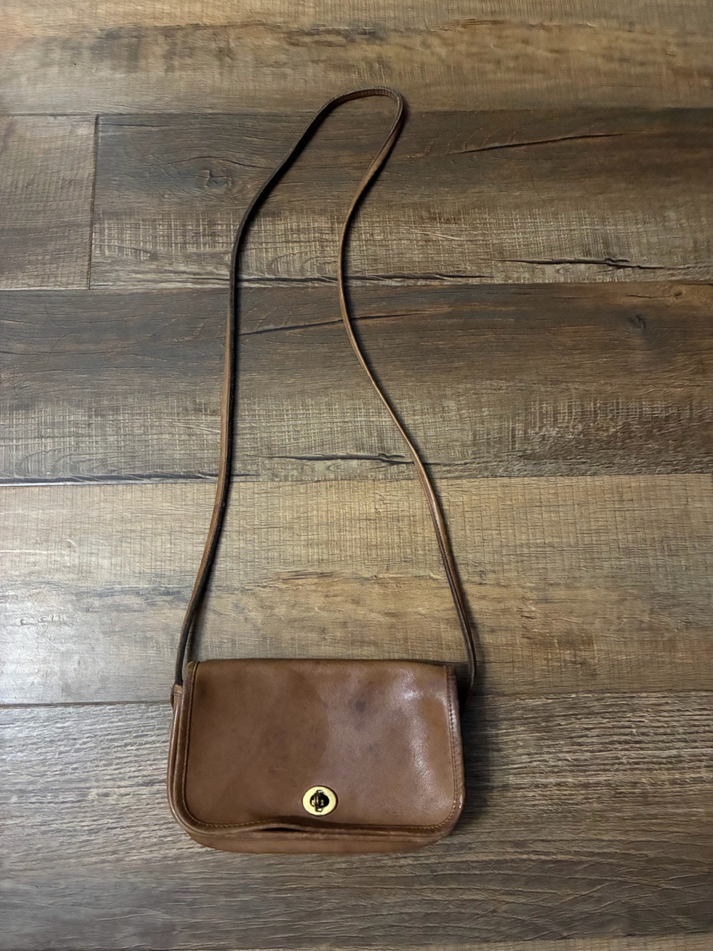 Coach Dinky Bag